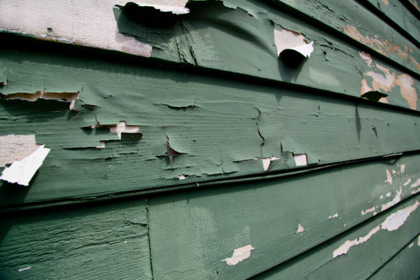 Best Demolition Debris Removal  in Zion, PA